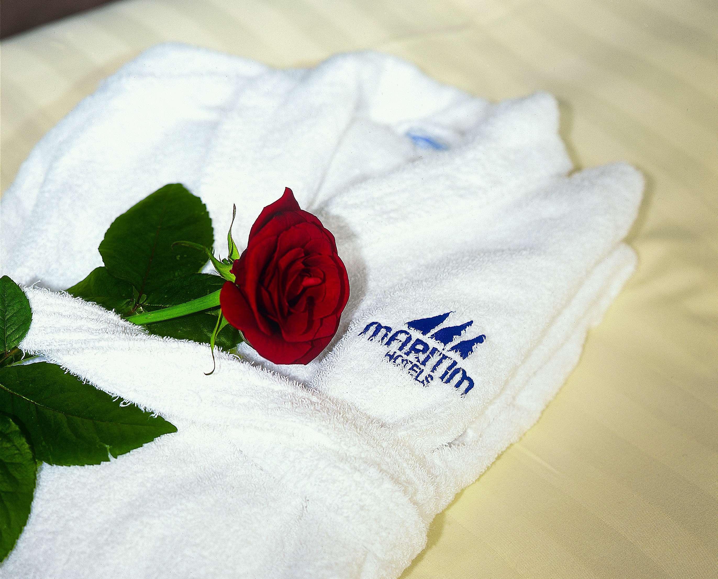 Maritim Darmstadt